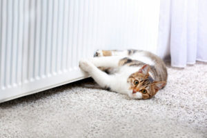 image of a radiator depicting hydronic home heating