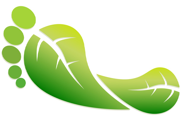 image of a green leafy foot depicting a carbon footprint