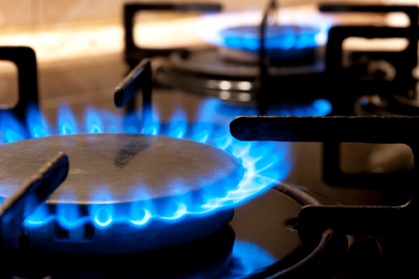 image of a propane stove