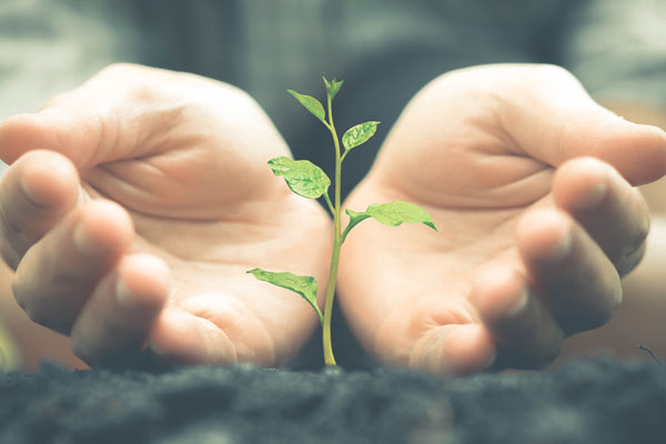 hands with plant depicting environmentally friendly commercial fuel storage