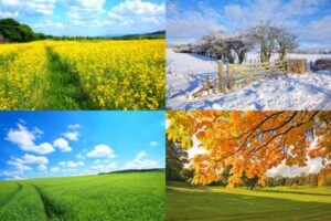 four seasons depicting seasonal energy savings tips